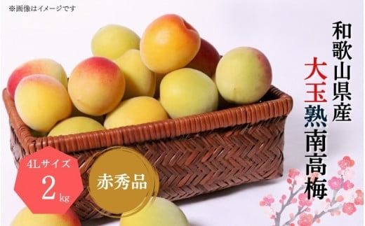 ya̎RI쒬zy~E~pz4LTCY2kg n썂 ~ ԏGi2026N6{`77\聄yART01z / ~ t[c ~ ~ 썂~ n  ~ ~ E a̎R  썂