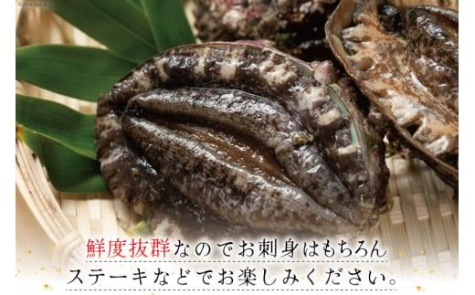 海鮮 魚介 三陸 天然 活き締め アワビ ＆絶品 酒蒸し アワビ 各5個 計10個 [マルヤ五洋水産 宮城県 南三陸町 30al0005] あわび 鮑 蝦夷あわび 貝 魚介類 冷凍 刺身 刺し身 活き ステーキ