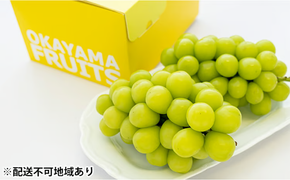 ぶどう 2026年 先行予約 ご家庭用 シャイン マスカット 2～3房 合計約1.2kg ブドウ 葡萄 岡山県産 国産 フルーツ 果物 ギフト