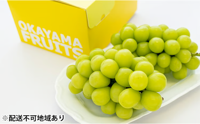 ぶどう 2026年 先行予約 ご家庭用 シャイン マスカット 2～3房 合計約1.2kg ブドウ 葡萄 岡山県産 国産 フルーツ 果物 ギフト