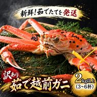 かに 訳あり 茹で 越前がに 約2kg以上3～6杯 脚折れ含む ずわい蟹 ボイルカニ ボイル