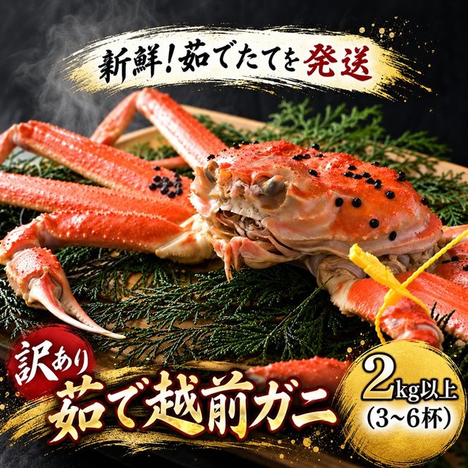 かに 訳あり 茹で 越前がに 約2kg以上3～6杯 脚折れ含む ずわい蟹 ボイルカニ ボイル