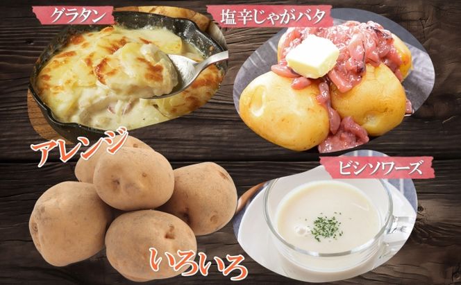 北海道産 じゃがいも キタアカリ 約10kg Lサイズ ジャガイモ 北あかり 馬鈴薯 ポテト クリじゃがいも 常備野菜 根菜 産直 国産 JAようてい 送料無料 北海道北海道のジャガイモ 食品 