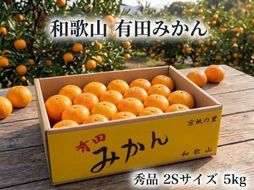 ［秀品・サイズ２Ｓ］まる隆果樹園　和歌山有田産！早生みかん≪5ｋｇ≫［予約販売］［数量限定］ CS002