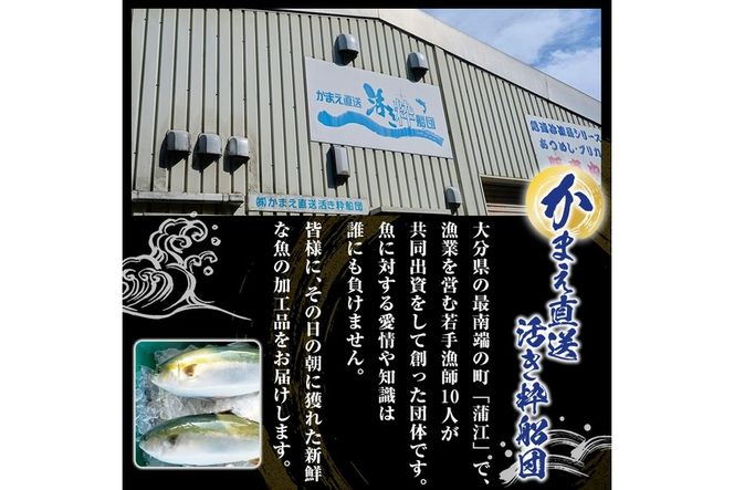骨まで食べれる ぶりのあら煮(6個・醤油) 大分県産 鰤 煮物 煮つけ おかず 魚介 しょうゆ味 防災【CK70】【かまえ直送活き粋船団】