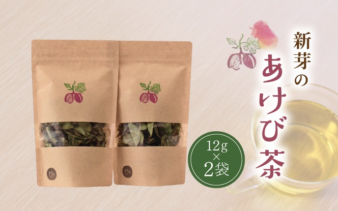 新芽のあけび茶 12g×2 / アケビ 岡山県 真庭市 しげや 【shigeya008-01】