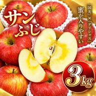 りんご サンふじ 令和8年11月下旬発送 信州のサンふじ 約3キロ！（りんご・リンゴ・林檎）伊那市 長野県 信州【010-33】