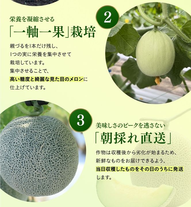 【2026年先行予約】 岡山メロン アールスメロン1玉（1.5kg以上） ※7月末より順次発送 岡山県 真庭市 フルーツ 果物 高級 ギフト 贈答 ご家庭用 【mnem001-01】