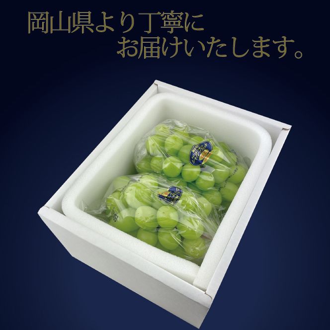 【定期便 全2回】 ぶどう 2026年 先行予約 9月・10月発送 高級品 シャインマスカット 晴王 2房 合計約1.4kg ブドウ 葡萄 岡山県産 国産 フルーツ 果物 ギフト