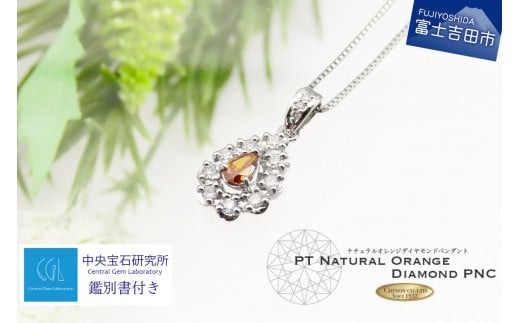 yRxmgcszmq[g VRIW_Ch y_g v`i ӕʏt