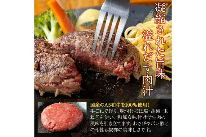 a940 生食感ハンバーグ！やまさきの焼肉A5ランク極ハンバーグ150g×6袋(合計900g)【やまさき】