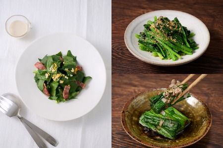 【定期便6回】ほうれん草 約1kg（150g x 7袋）【合計 約6kg】(H091120)