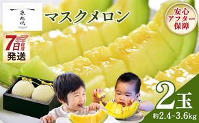 メロン 【7日程度で発送】一果相伝マスクメロン 2玉入り - 最短配送 送料無料 めろん 青肉 果物 くだもの フルーツ 贈答用 贈答品 贈り物 ギフト 産地直送 篤農 高知県 香南市 常温 tn-0065