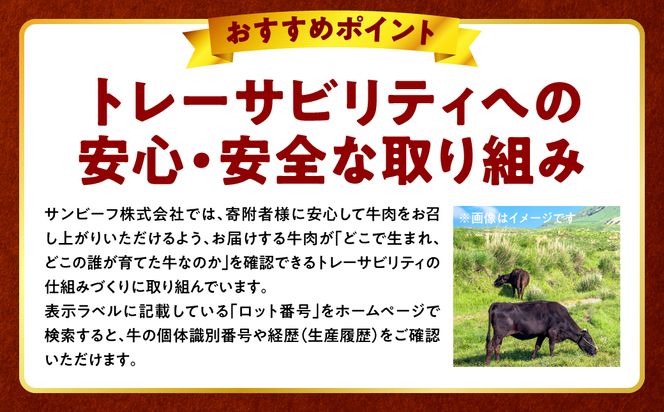 【訳あり】くまもと黒毛和牛 切り落とし 合計1.5kg (250g×6パック) 牛肉 肉 和牛 黒毛和牛 ブランド牛 牛丼 肉じゃが  国産 訳あり 小分け 熊本県 八代市