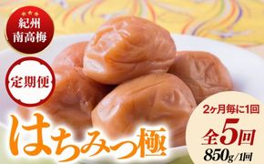 【定期便/2か月ごと/全5回】紀州南高梅はちみつ極塩分約6％（850g）