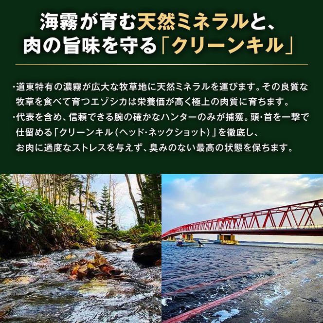 【ペット用ジビエ】無添加 エゾシカ ミンチ肉 500g 犬用 生肉 北海道産 鹿肉【deer food】ハンター直送 [ 健康 体 毎日 習慣 大事 安心 安全 ブロック カット タンパク 低脂質 ] 