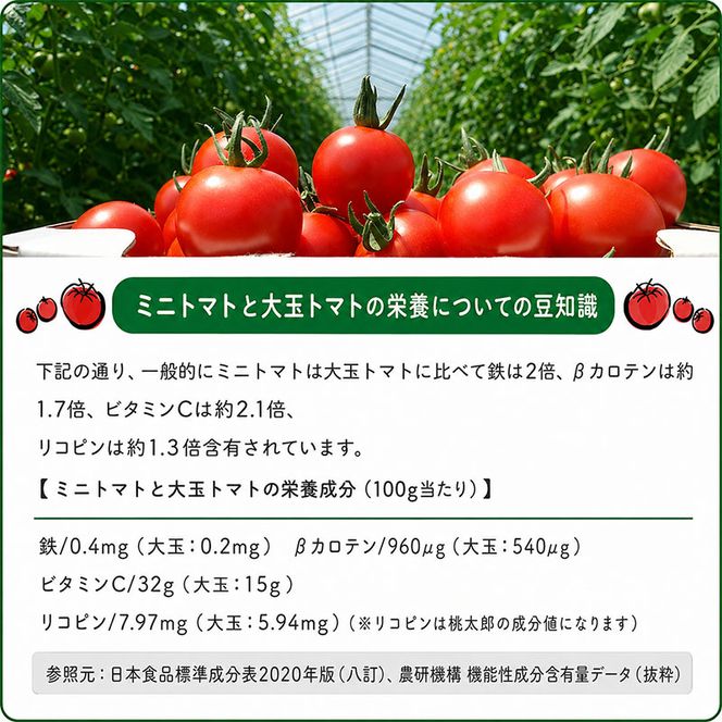 2026年発送 ミニトマト ジュース (北海道 仁木町産 ミニトマト[エコスイート]100％) 180ml×10本 無塩・無糖・保存料無添加【栽培期間中 農薬・化学肥料不使用 】 野菜飲料 [Farm Watanabe]