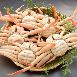 【ふるさと納税】郷土料理 セコガニで作った「子持ちがにみそ煮込み」 計2パック 殻付き（200g）・殻なし（60g） 計260g ズワイガニ カニ 蟹 味噌 魚介類 甲殻類 水産物 おかず おつまみ ご飯のお供 お酒のお供 冷凍 兵庫県産 国産 兵庫県 新温泉町 送料無料