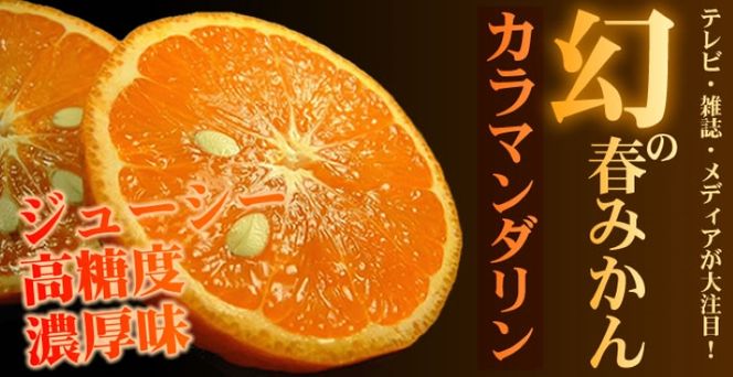 カラマンダリン  約2.8kg/サイズおまかせ　※2027年4月上旬～2027年5月上旬頃に順次発送予定(お届け日指定不可)　紀伊国屋文左衛門本舗　【ntbt471C】
