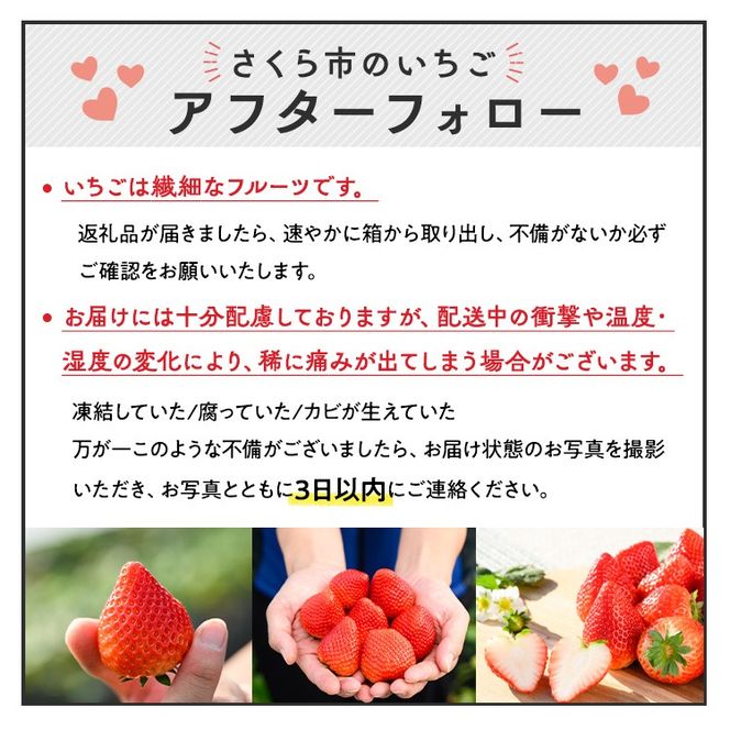 【定期便】栃木のいちご3銘柄（とちあいか　とちおとめ　スカイベリー）定期便　400g×1パック　※2026年1月上旬頃から1ヶ月毎1種類ずつ順次発送予定