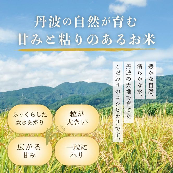 定期便 令和8年産 京都丹波産 コシヒカリ 10kg 12回 京都 お米 米 令和8年 10キロ 新米 新米26