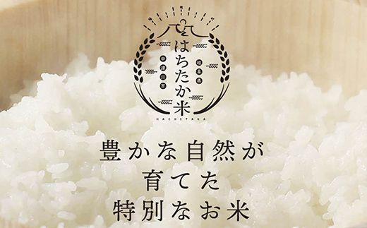 【9回定期便】令和7年産 岐阜県産 棚田米 1等米コシヒカリ はちたか米 精米2kg F4N-2742