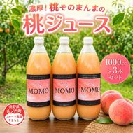 濃厚！桃そのまんまの 桃ジュース 1000cc×3本セット 果汁飲料 ピーチジュース フルーツジュース ソフトドリンク 桃果肉100％ 糖度15～18度 山ノ内町産桃 