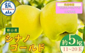 【先行予約丨2026年10月下旬より順次発送】シナノゴールド【約5kg (11〜20玉)】(At-015)丨長野県 飯山市 おすすめ ランキング おいしい 高評価 大人気 先取り 産地直送 りんご