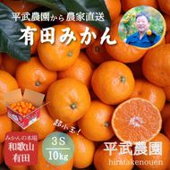 農家直送！有田みかん（10kg 3Sサイズ（超小玉）秀品）平武農園　～蛍飛ぶ町から旬の便り～ BX28