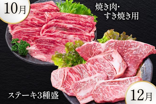 AJ699 【8回定期便】 夏のフルーツと長崎和牛 定期便 [ 果物 フルーツ びわ すいか 小玉スイカ メロン 赤肉メロン ナシ 梨 長崎和牛 定期便 和牛 お肉 肉 牛 牛肉 国産 ステーキ 焼肉 焼き肉 もも モモ バラ肉 スネ肉 ブロック すき焼き サーロイン トモサンカク シキンボ 贅沢宝庫 長崎県 島原市 ]