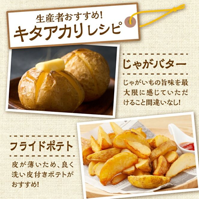 先行受付！ホクホク！しっとりなめらか！ 北海道産 キタアカリ いも じゃがいも きたあかり イモ 約10kg_S041-0008-2026