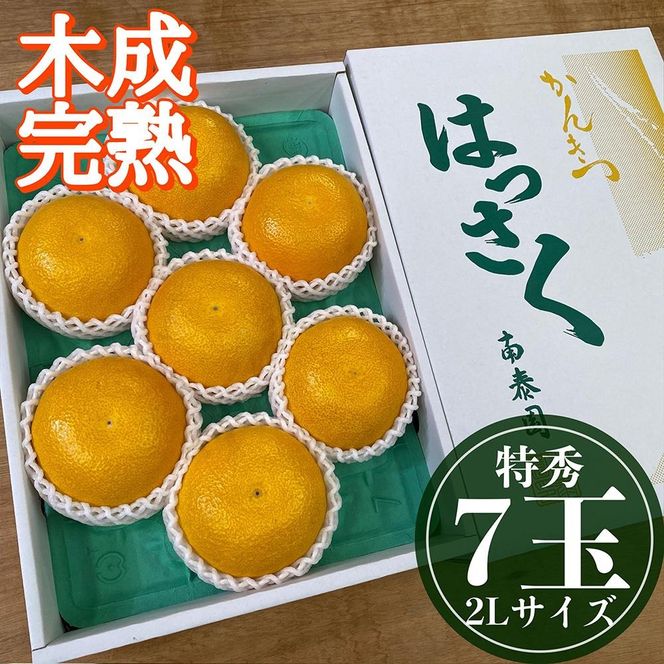 4月 まで 木成 完熟 させた 有田 はっさく 特秀 大玉 2L × 7玉 化粧箱 南泰園 みかん	BS748  