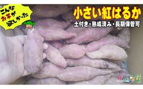小さい紅はるか（京都産） 5kg　DJ00012