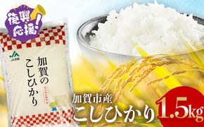 【順次発送】令和7年産 こしひかり 1.5kg 生活応援米 精米 銘柄米 お米 米 ギフト 贈り物 グルメ 食品 復興応援米 F6P-3218