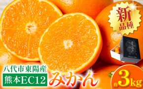 【先行予約】 八代市東陽町産の 「熊本EC12みかん」 約3kg みかん 柑橘 フルーツ 果物 果実 ミカン 蜜柑 熊本県 八代市 【2026年12月上旬より順次発送】