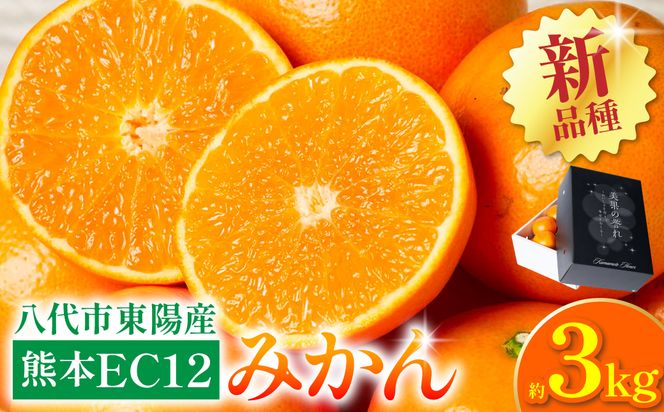 【先行予約】 八代市東陽町産の 「熊本EC12みかん」 約3kg みかん 柑橘 フルーツ 果物 果実 ミカン 蜜柑 熊本県 八代市 【2026年12月上旬より順次発送】