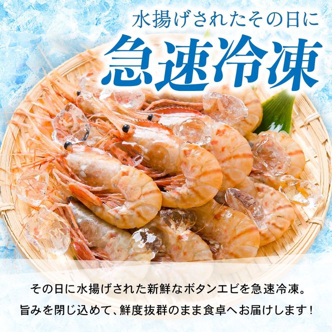 【漁師採りたて　留萌産】ボタンエビ　500ｇ×2　R006-019