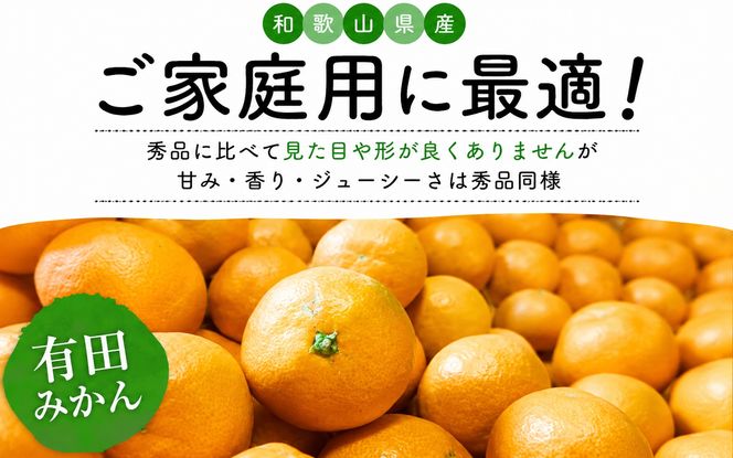 【12月発送】有田育ちの完熟有田みかん 家庭用 サイズ混合(2S～2L)　約5.2kg(5kg+200g)(傷み補償分) 【ard186D-12】