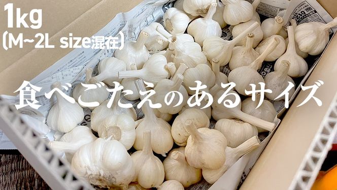 【先行予約】超芳醇 つくばみらいの土が育んだ 最上級ニンニク 1kg つくばみらい市（2026年6月より発送開始） ニンニク 新ニンニク 茨城県産 国産 無化学肥料 農薬不使用 化学肥料不使用 [FA02-NT]