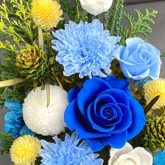 プリザーブドフラワー　青華（せいか）　春日部市　シュガーパイン(AJ266)