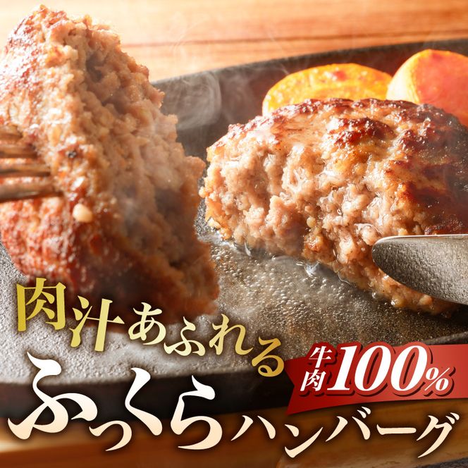 あさくまデミハンバーグ詰め合わせ 電子レンジ加熱可能 冷凍 ［052S14］ あさくま デミハンバーグ 詰め合わせ デミグラスソース ハンバーグ 国産玉ねぎ ステーキ専門店 食べ応え 手づくり感 王道ハンバーグ 牛肉ハンバーグ おかず 冷凍食品 簡単調理 時短料理 お取り寄せグルメ 愛知県 小牧市 送料無料