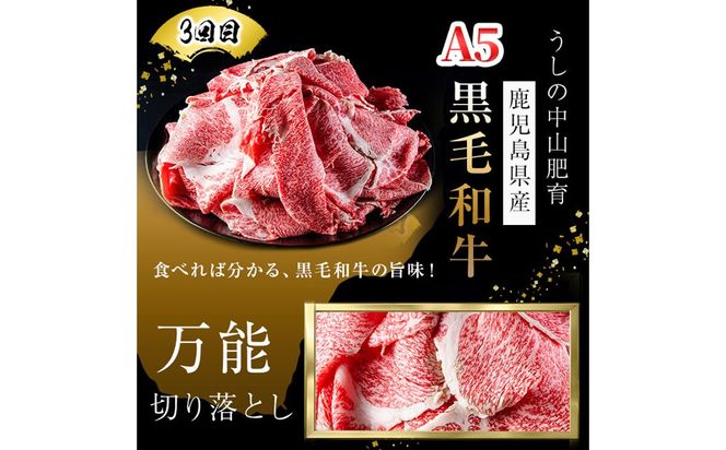 【定期便全3回】＜A4・A5等級＞黒毛和牛堪能〈お試し〉定期便（5～6人分）総重量1.8kg t0058-003