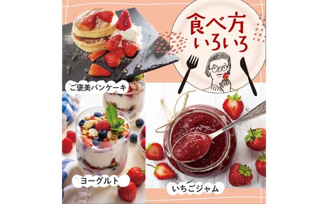 【全2回定期便】あまおう いちご 1080g（約270g×4パック）【2027年1月中旬より順次発送】《築上町》【株式会社HSP-テクノ】 いちご 苺 グランデ等級 果物 イチゴ[ABFG003]