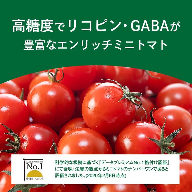 エンリッチミニトマトセット3箱セット【28001BA0101】