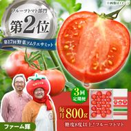 【先行予約】【全3回定期便】全国第2位受賞 糖度8度以上！濃厚フルーツトマト 約800g×3回 / 旬の美味しさを毎月楽しむ高知県土佐市の味〈2027年2月から配送開始〉先行予約 トマト 定期便 3ヶ月 とまと ふるーつとまと トマト とまと tomato 糖度8度以上 美味しい 高知県 土佐市【ファーム輝】 [BQBM005]