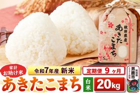 《定期便9ヶ月》令和7年産 新米 【白米】家計お助け米 あきたこまち 20kg（5kg×4袋）|23_kml-012009