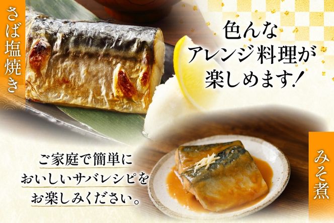 訳あり トロ塩サバ フィレ LLサイズ 3kg ★フィレ1枚230g超え！[足利本店 宮城県 気仙沼市 20565620] 魚介類 魚 海鮮 鮮魚 サバ さば 鯖 サバフィレ サバフィーレ 鯖フィレ トロサバ 訳アリ わけあり 切り身 冷凍