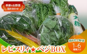 野菜 セット レピスリィ★ベジBOX 季節のお野菜 1～6種類 詰め合わせ ※配送不可：北海道、沖縄、離島