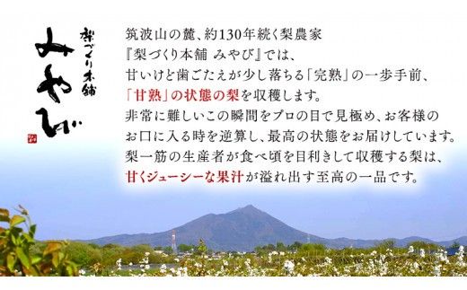 極上の雫 『 豊水 』 5kg ( 自家用 ) 2026年産 先行予約 フルーツ 果物 国産 日本産 梨 ナシ なし 和梨 [DJ002ci]