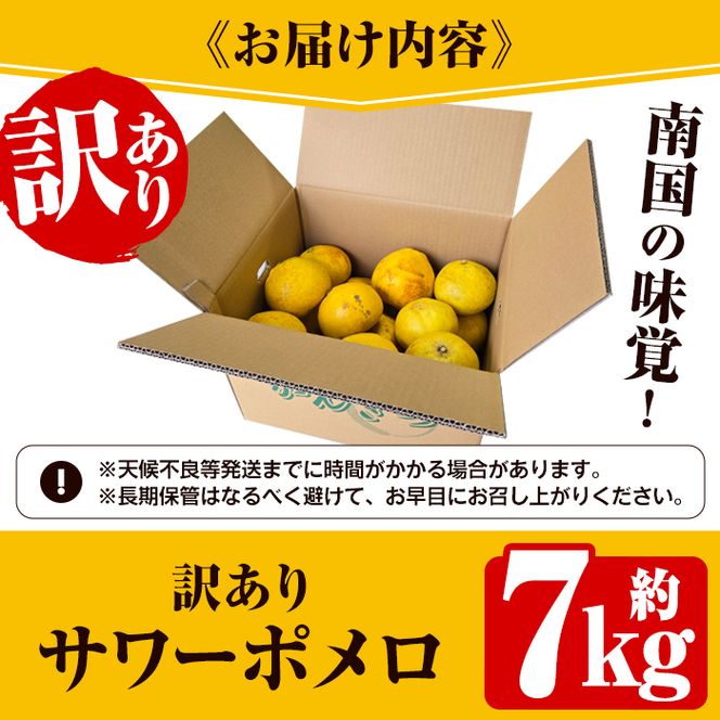 ＜先行予約受付中！2027年2月下旬以降順次発送予定＞＜訳あり・傷あり＞数量限定！サワーポメロ(約7kg) 国産 フルーツ 果物 柑橘類 サワーポメロ 甘味 酸味 デザート おやつ 訳あり【なかむら果樹園】akn014-01